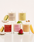 Bundle Gelatopia