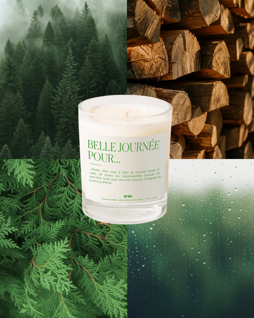 Forest &amp; Rain